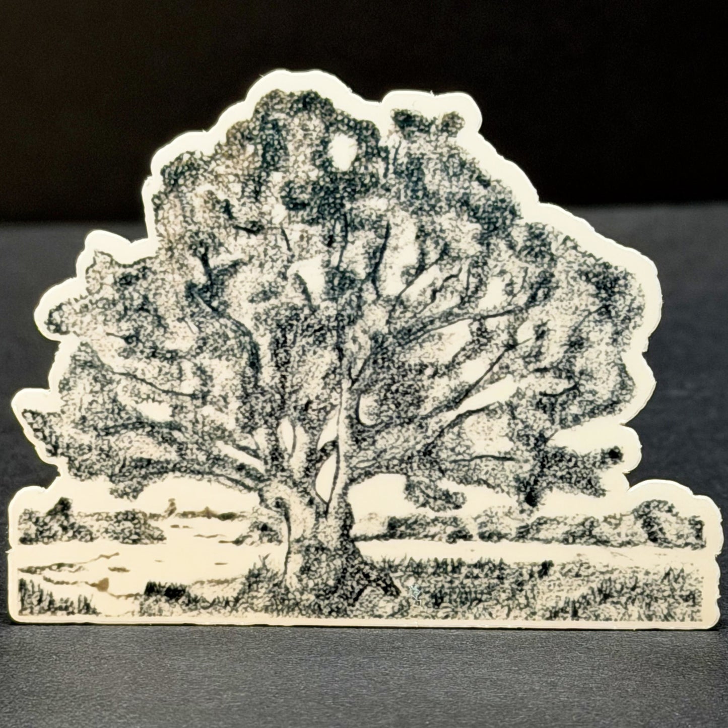 Oak Tree