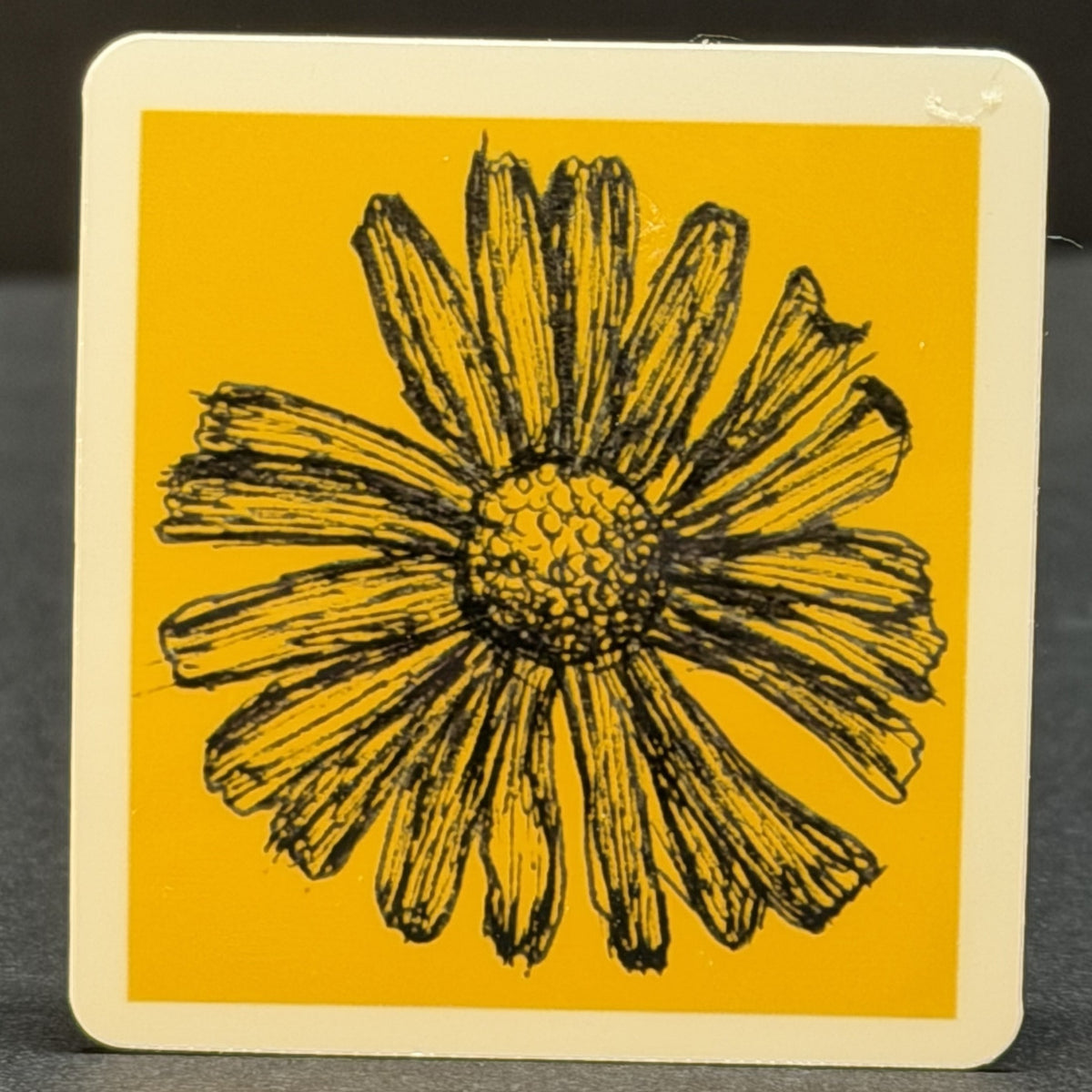 Daisy