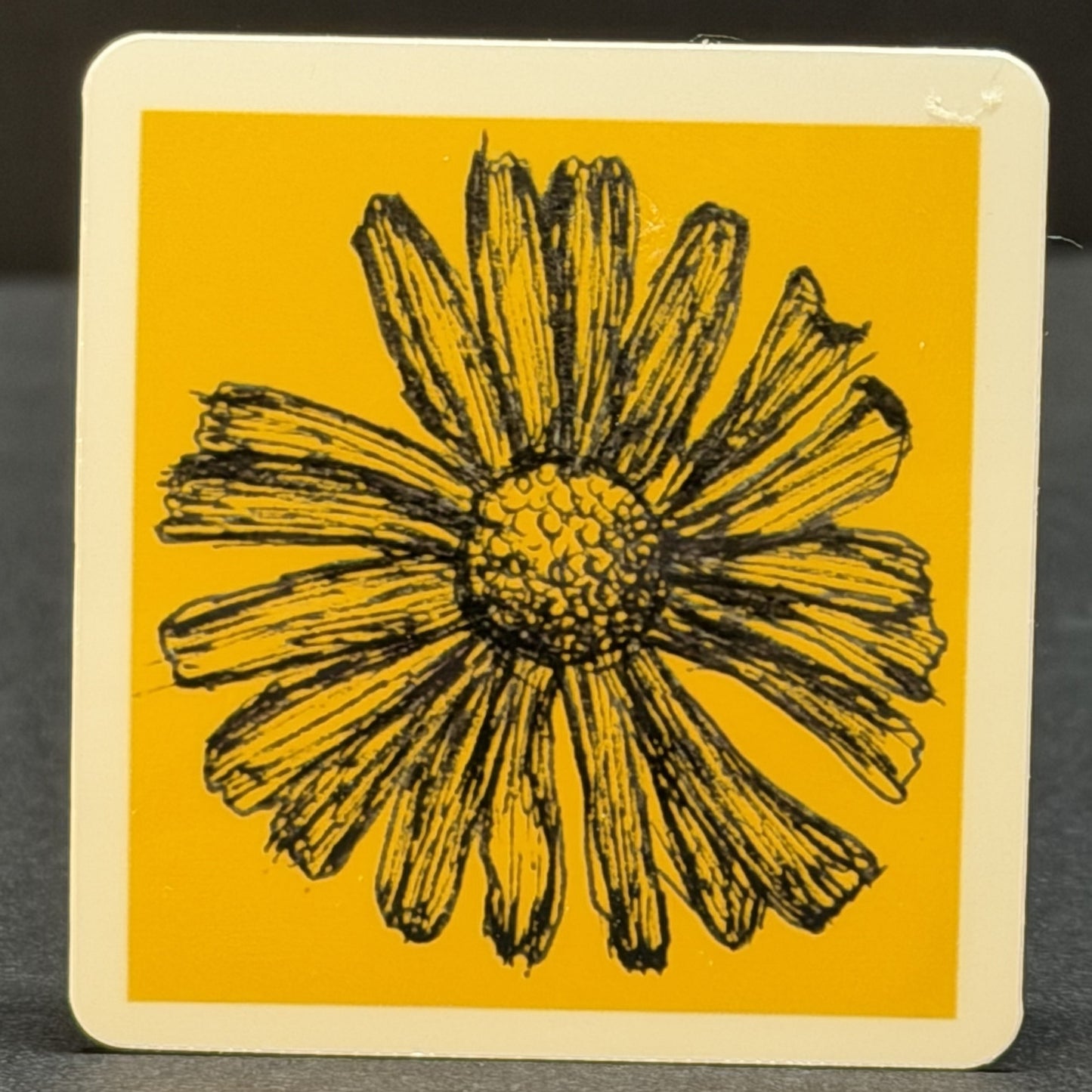 Daisy