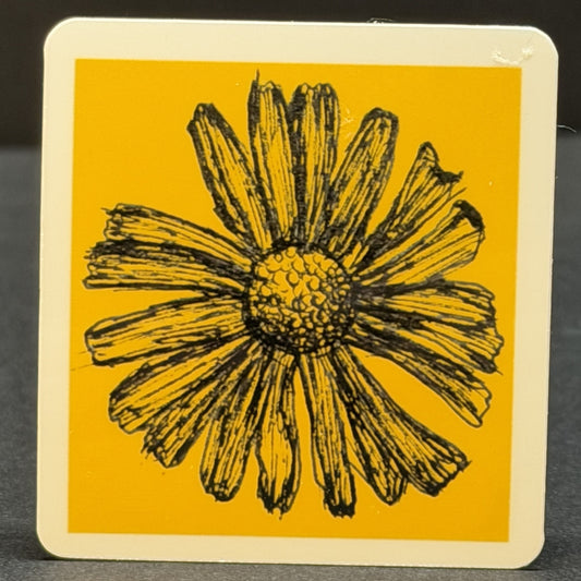 Daisy